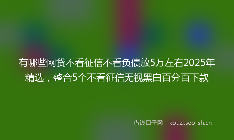 有哪些网贷不看征信不看负债放5万左右2025年精选，整合5个不看征信无视黑白百分百下款