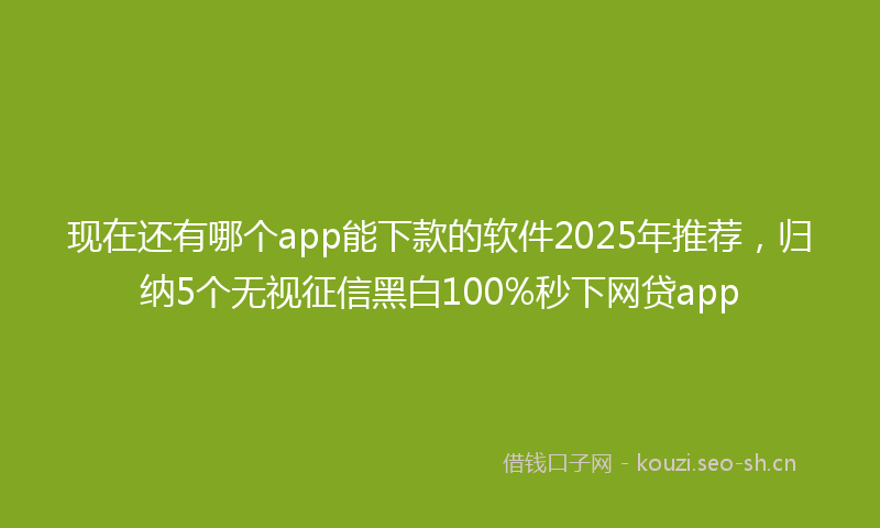现在还有哪个app能下款的软件2025年推荐，归纳5个无视征信黑白100%秒下网贷app