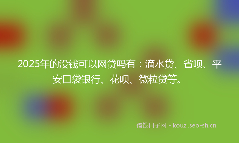 2025年的没钱可以网贷吗有：滴水贷、省呗、平安口袋银行、花呗、微粒贷等。
