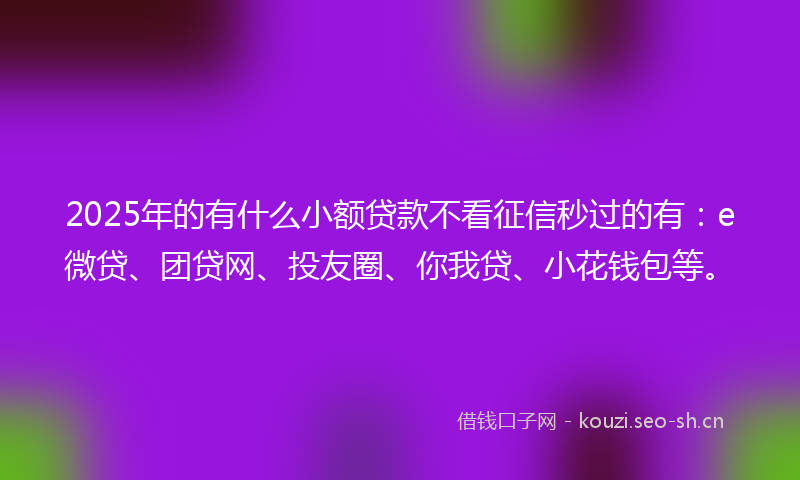 2025年的有什么小额贷款不看征信秒过的有：e微贷、团贷网、投友圈、你我贷、小花钱包等。