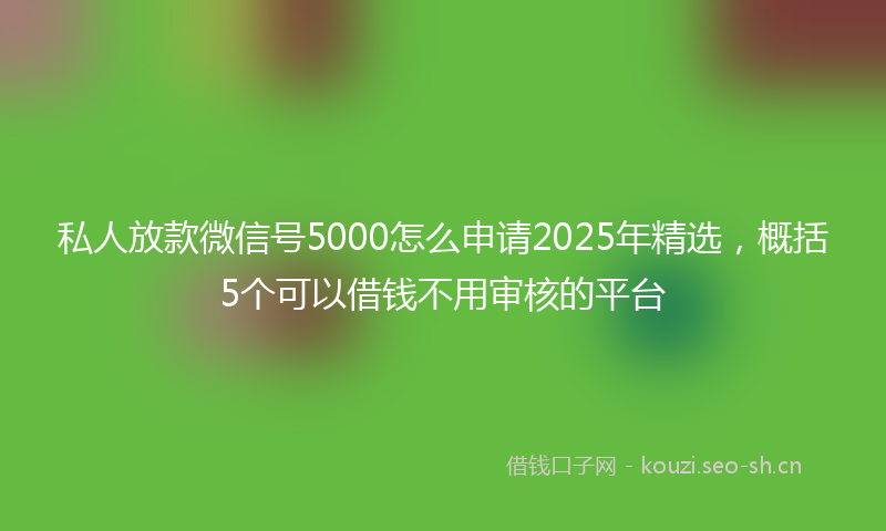 私人放款微信号5000怎么申请2025年精选,概括5个可以借钱不用审核的平台