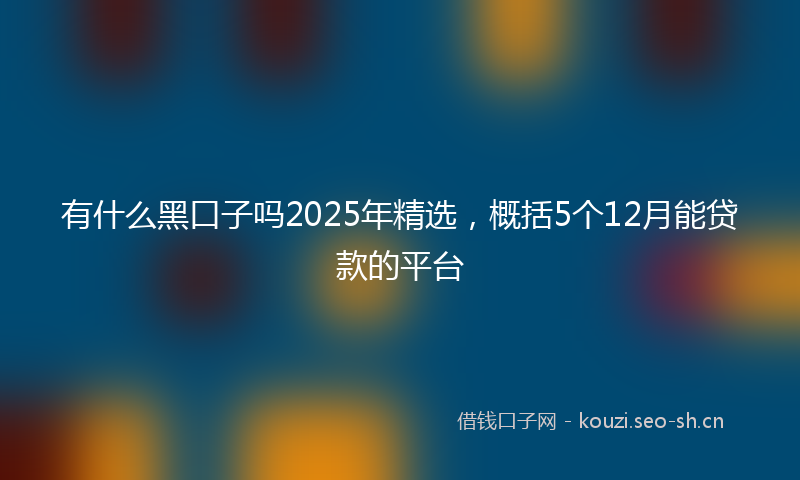 有什么黑口子吗2025年精选，概括5个12月能贷款的平台