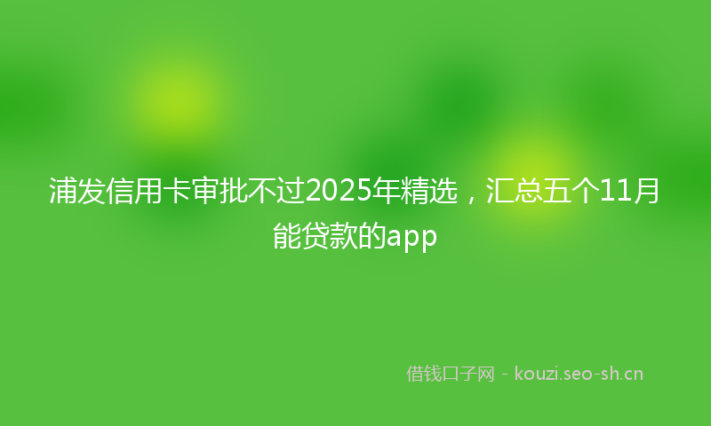 浦发信用卡审批不过2025年精选，汇总五个11月能贷款的app