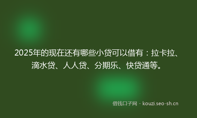 2025年的现在还有哪些小贷可以借有：拉卡拉、滴水贷、人人贷、分期乐、快贷通等。