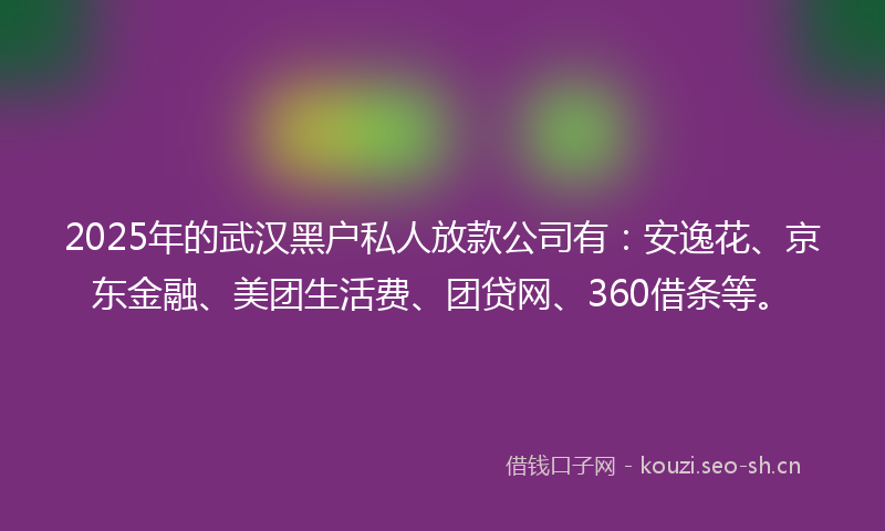 2025年的武汉黑户私人放款公司有:安逸花、京东金融、美团生活费、团贷网、360借条等。