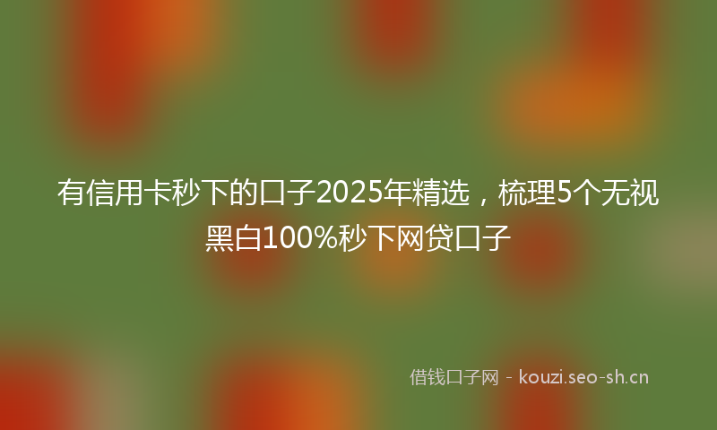 有信用卡秒下的口子2025年精选，梳理5个无视黑白100%秒下网贷口子