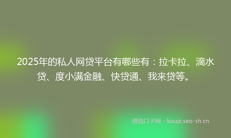 2025年的私人网贷平台有哪些有：拉卡拉、滴水贷、度小满金融、快贷通、我来贷等。