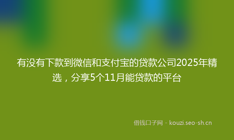 有没有下款到微信和支付宝的贷款公司2025年精选，分享5个11月能贷款的平台