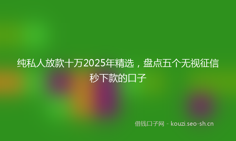 纯私人放款十万2025年精选，盘点五个无视征信秒下款的口子