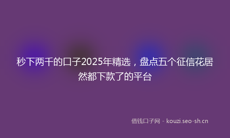 秒下两千的口子2025年精选，盘点五个征信花居然都下款了的平台