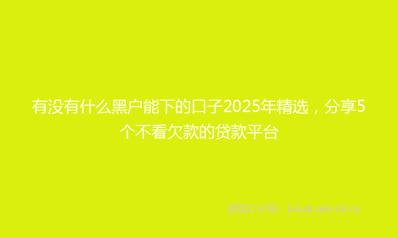 有没有什么黑户能下的口子2025年精选，分享5个不看欠款的贷款平台