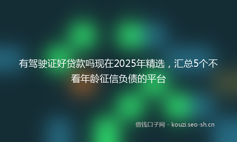 有驾驶证好贷款吗现在2025年精选，汇总5个不看年龄征信负债的平台