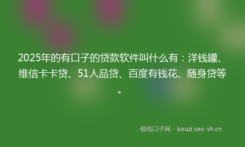 2025年的有口子的贷款软件叫什么有：洋钱罐、维信卡卡贷、51人品贷、百度有钱花、随身贷等。