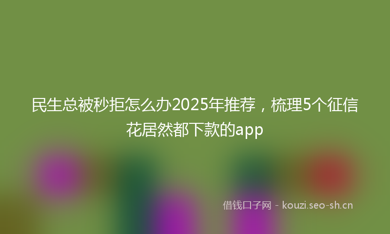 民生总被秒拒怎么办2025年推荐，梳理5个征信花居然都下款的app