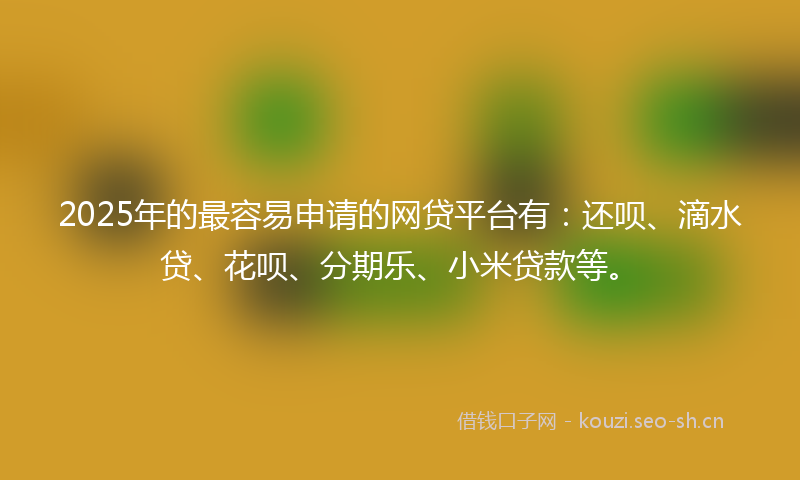 2025年的最容易申请的网贷平台有：还呗、滴水贷、花呗、分期乐、小米贷款等。
