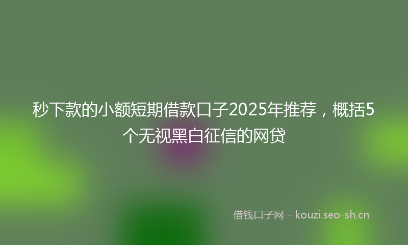 秒下款的小额短期借款口子2025年推荐，概括5个无视黑白征信的网贷