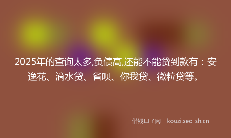 2025年的查询太多,负债高,还能不能贷到款有：安逸花、滴水贷、省呗、你我贷、微粒贷等。