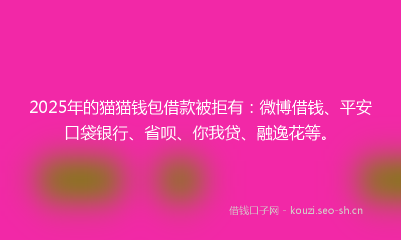 2025年的猫猫钱包借款被拒有：微博借钱、平安口袋银行、省呗、你我贷、融逸花等。