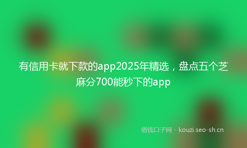 有信用卡就下款的app2025年精选，盘点五个芝麻分700能秒下的app