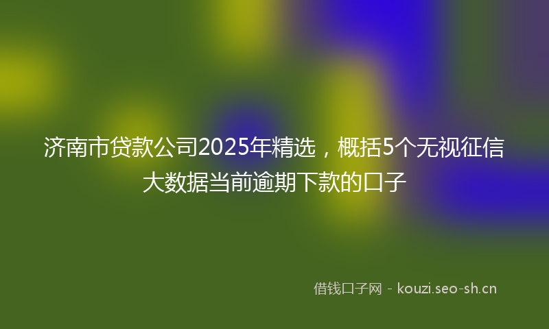 济南市贷款公司2025年精选，概括5个无视征信大数据当前逾期下款的口子