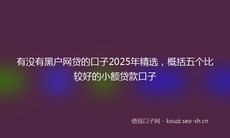 有没有黑户网贷的口子2025年精选，概括五个比较好的小额贷款口子