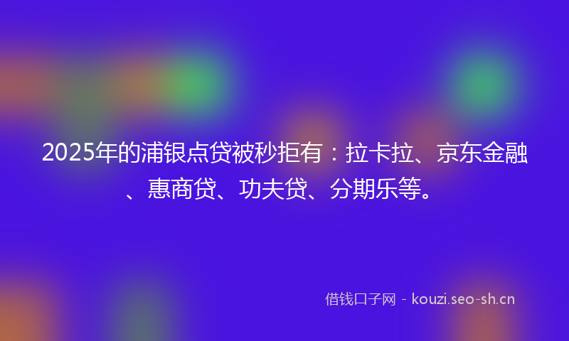2025年的浦银点贷被秒拒有：拉卡拉、京东金融、惠商贷、功夫贷、分期乐等。