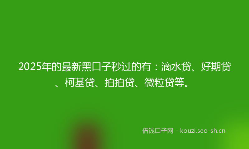 2025年的最新黑口子秒过的有：滴水贷、好期贷、柯基贷、拍拍贷、微粒贷等。