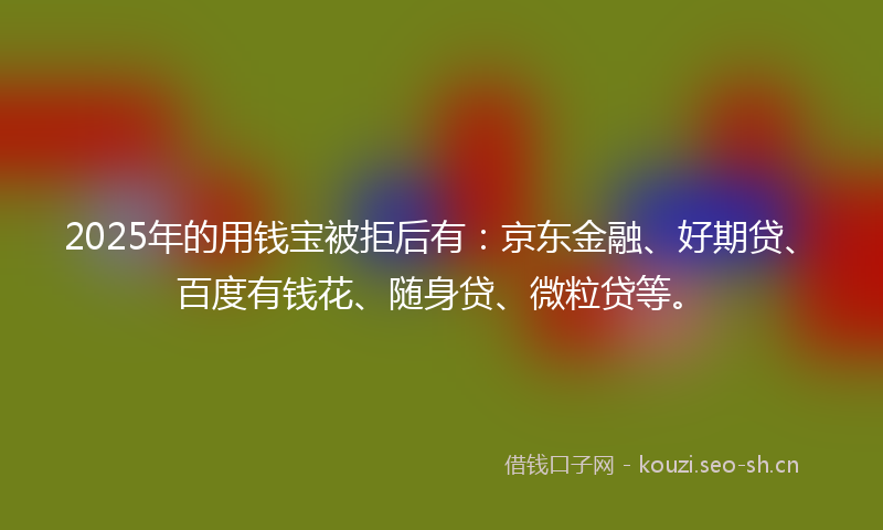 2025年的用钱宝被拒后有:京东金融、好期贷、百度有钱花、随身贷、微粒贷等。