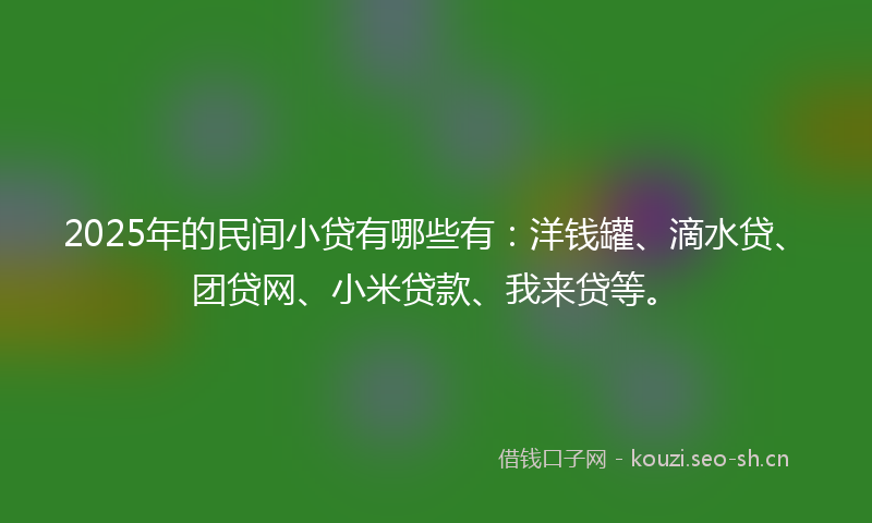 2025年的民间小贷有哪些有：洋钱罐、滴水贷、团贷网、小米贷款、我来贷等。