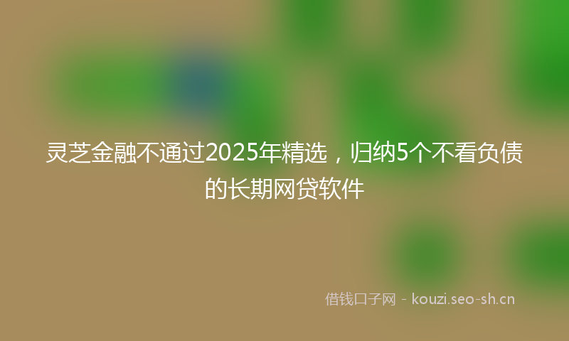 灵芝金融不通过2025年精选，归纳5个不看负债的长期网贷软件