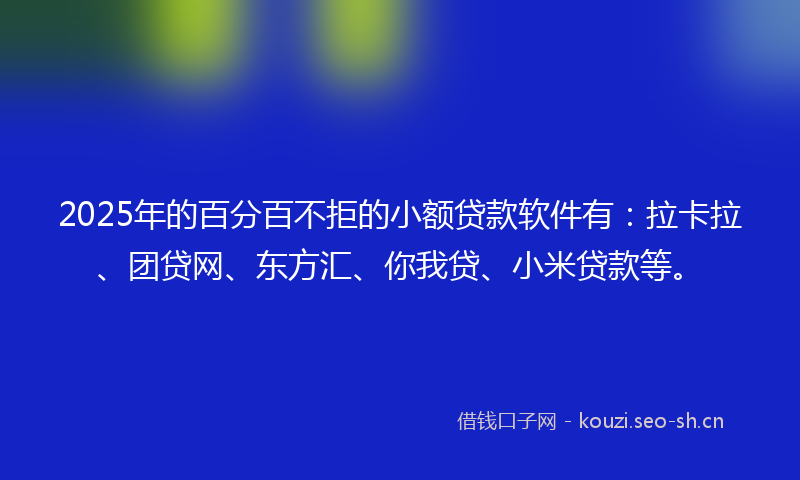2025年的百分百不拒的小额贷款软件有：拉卡拉、团贷网、东方汇、你我贷、小米贷款等。
