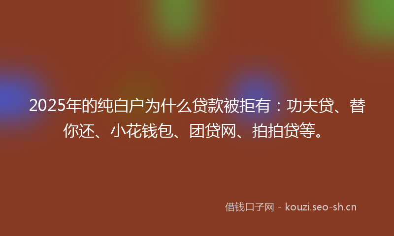 2025年的纯白户为什么贷款被拒有：功夫贷、替你还、小花钱包、团贷网、拍拍贷等。