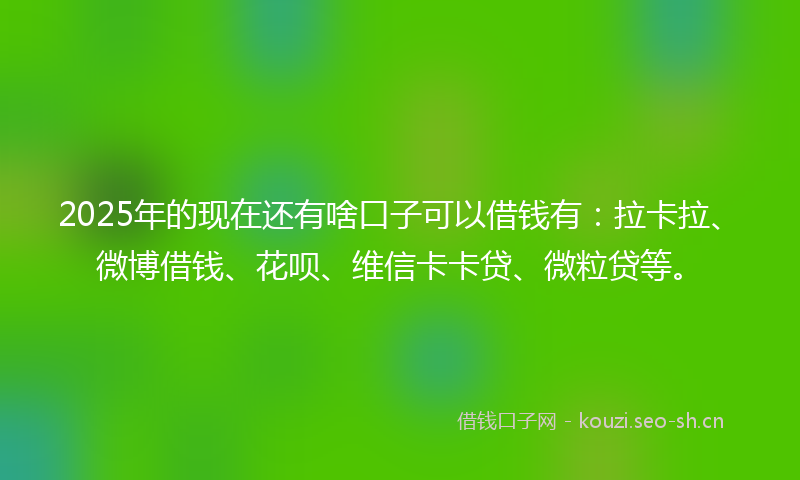 2025年的现在还有啥口子可以借钱有：拉卡拉、微博借钱、花呗、维信卡卡贷、微粒贷等。