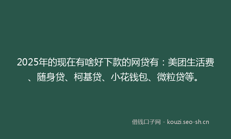 2025年的现在有啥好下款的网贷有：美团生活费、随身贷、柯基贷、小花钱包、微粒贷等。