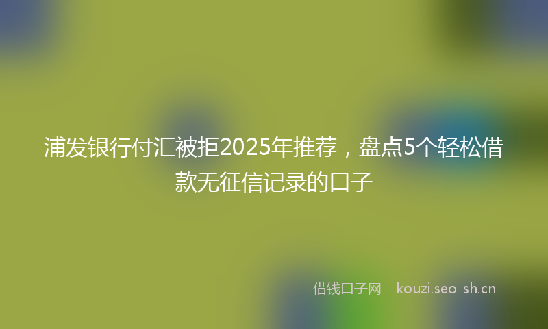 浦发银行付汇被拒2025年推荐，盘点5个轻松借款无征信记录的口子