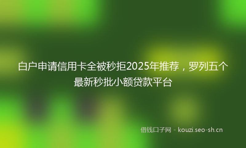 白户申请信用卡全被秒拒2025年推荐，罗列五个最新秒批小额贷款平台