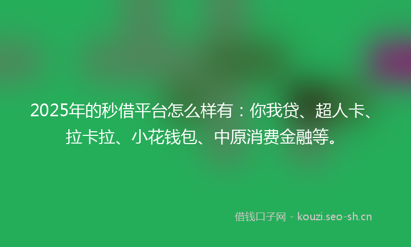 2025年的秒借平台怎么样有：你我贷、超人卡、拉卡拉、小花钱包、中原消费金融等。