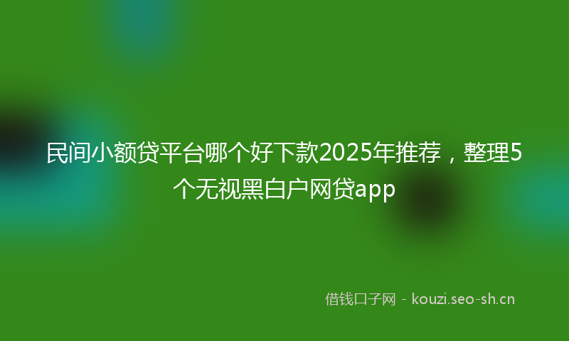 民间小额贷平台哪个好下款2025年推荐，整理5个无视黑白户网贷app