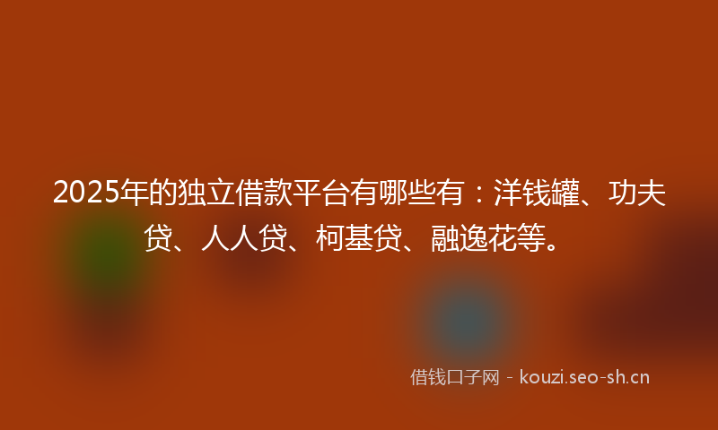 2025年的独立借款平台有哪些有:洋钱罐、功夫贷、人人贷、柯基贷、融逸花等。