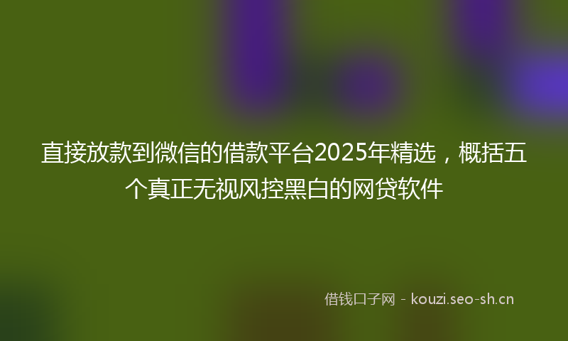 直接放款到微信的借款平台2025年精选，概括五个真正无视风控黑白的网贷软件