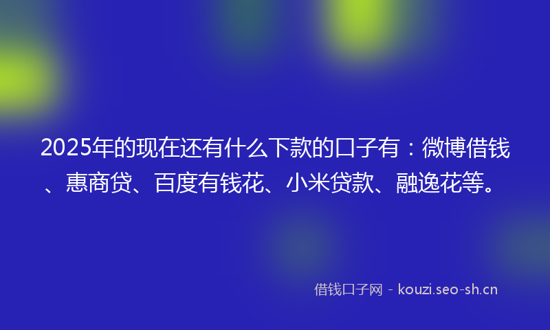 2025年的现在还有什么下款的口子有：微博借钱、惠商贷、百度有钱花、小米贷款、融逸花等。