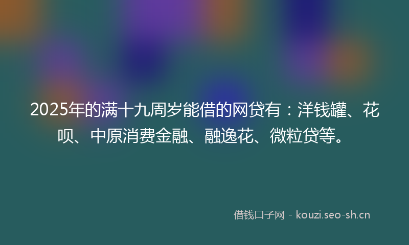 2025年的满十九周岁能借的网贷有：洋钱罐、花呗、中原消费金融、融逸花、微粒贷等。