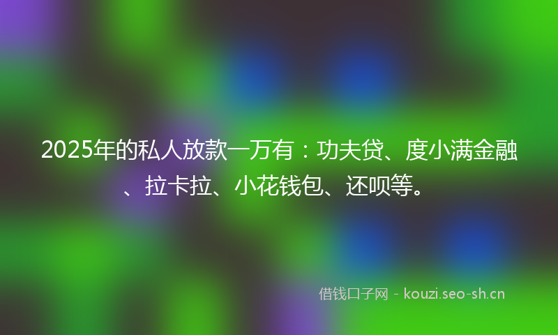 2025年的私人放款一万有：功夫贷、度小满金融、拉卡拉、小花钱包、还呗等。