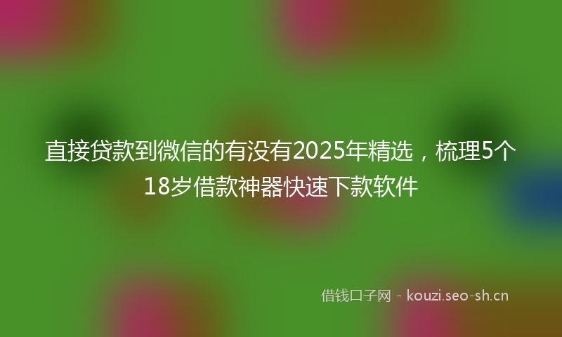 直接贷款到微信的有没有2025年精选,梳理5个18岁借款神器快速下款软件