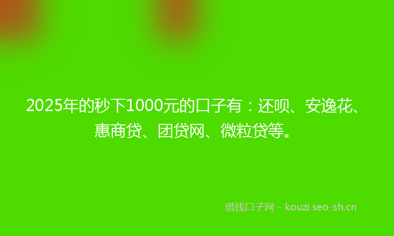 2025年的秒下1000元的口子有：还呗、安逸花、惠商贷、团贷网、微粒贷等。