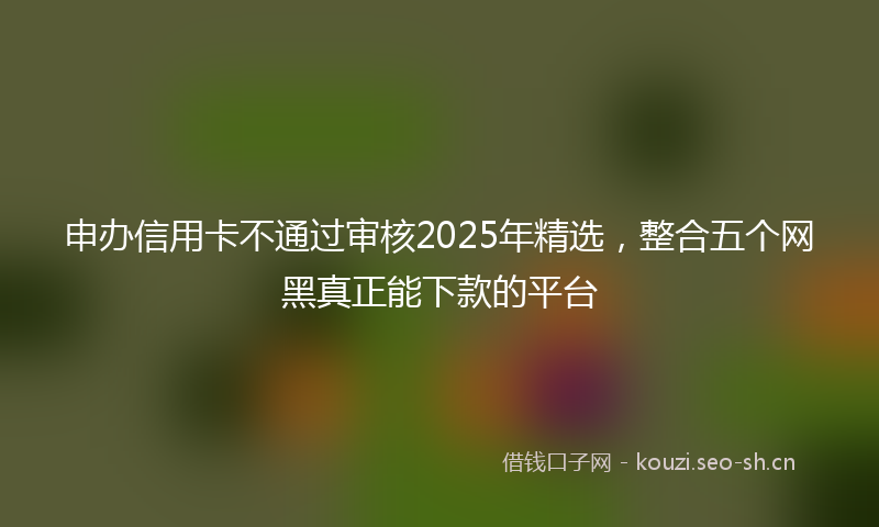 申办信用卡不通过审核2025年精选，整合五个网黑真正能下款的平台