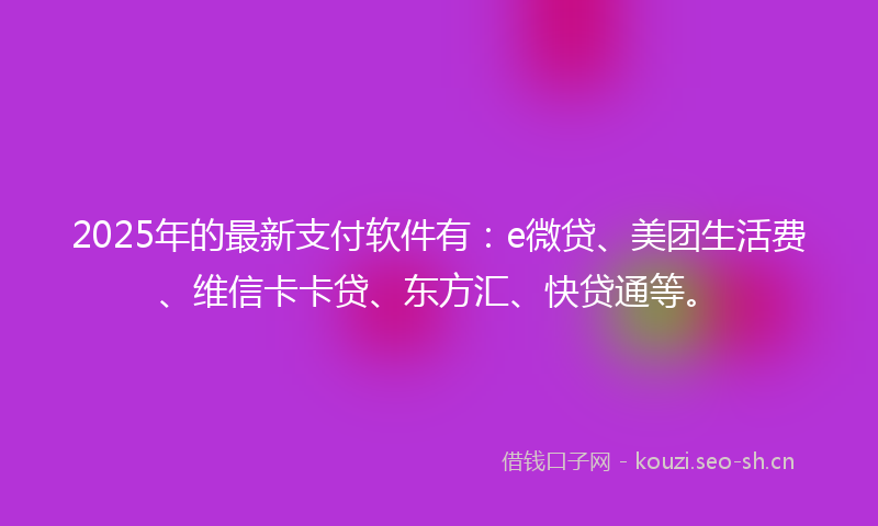 2025年的最新支付软件有：e微贷、美团生活费、维信卡卡贷、东方汇、快贷通等。