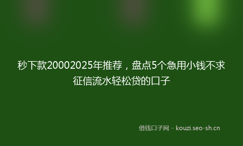 秒下款20002025年推荐,盘点5个急用小钱不求征信流水轻松贷的口子