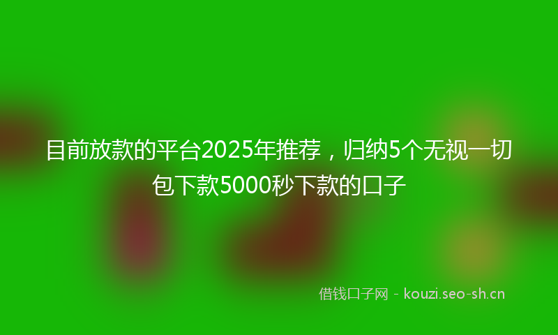 目前放款的平台2025年推荐，归纳5个无视一切包下款5000秒下款的口子