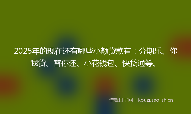 2025年的现在还有哪些小额贷款有:分期乐、你我贷、替你还、小花钱包、快贷通等。